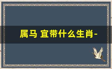 属马 宜带什么生肖-属马 宜带什么生肖饰品
